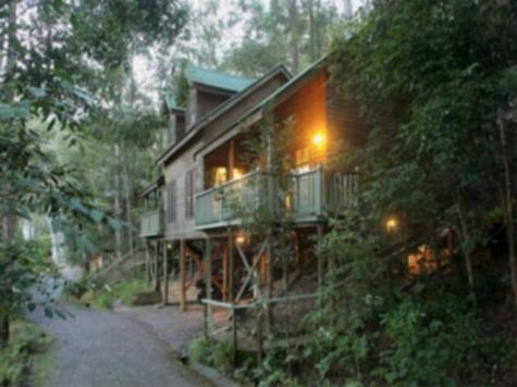 Barrington Wilderness Cedar Lodge - Photo 0