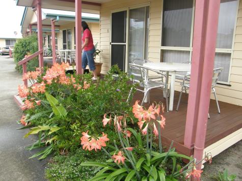 Patio with outdoor setting - Dolphin Sands Holiday Cabins