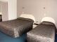 twin bed studio - Annabelle Court Motel
