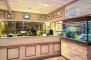 Reception Area - Hospitality Geraldton, SureStay Collection by Best Western