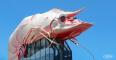 Big Prawn - Ballina Colonial Motel