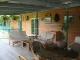 All lodges open onto the veranda & deck - Daintree Riverview Lodges