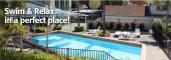 Pool - Harbour Side Resort