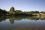 Picturesque lake on the property - Harmony Forest Cottages