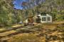 Private grounds surrounding your cottage - Harmony Forest Cottages