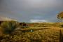 Kangaroo Island Accommodation, Hotels and Apartments - Ecopia Retreat