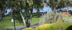 Grounds - Mannum Motel