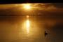 Sunset Lake Albert - Meningie's Waterfront Motel