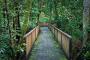 nearby Daintree rainforest - Mid City Luxury Suites