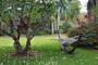 Relax in our gorgeous garden - Mullum Sari Health Retreat and MediSpa