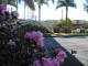 Parking - Ocean View Motor Inn