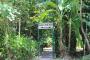 Access to Myall Beach - PK's Jungle Village