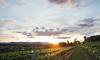 Surrounds - Sovereign Hill Country Lodge