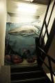Staircase - Sydney Backpackers