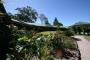 View from rooms - The Bearded Dragon Boutique Hotel